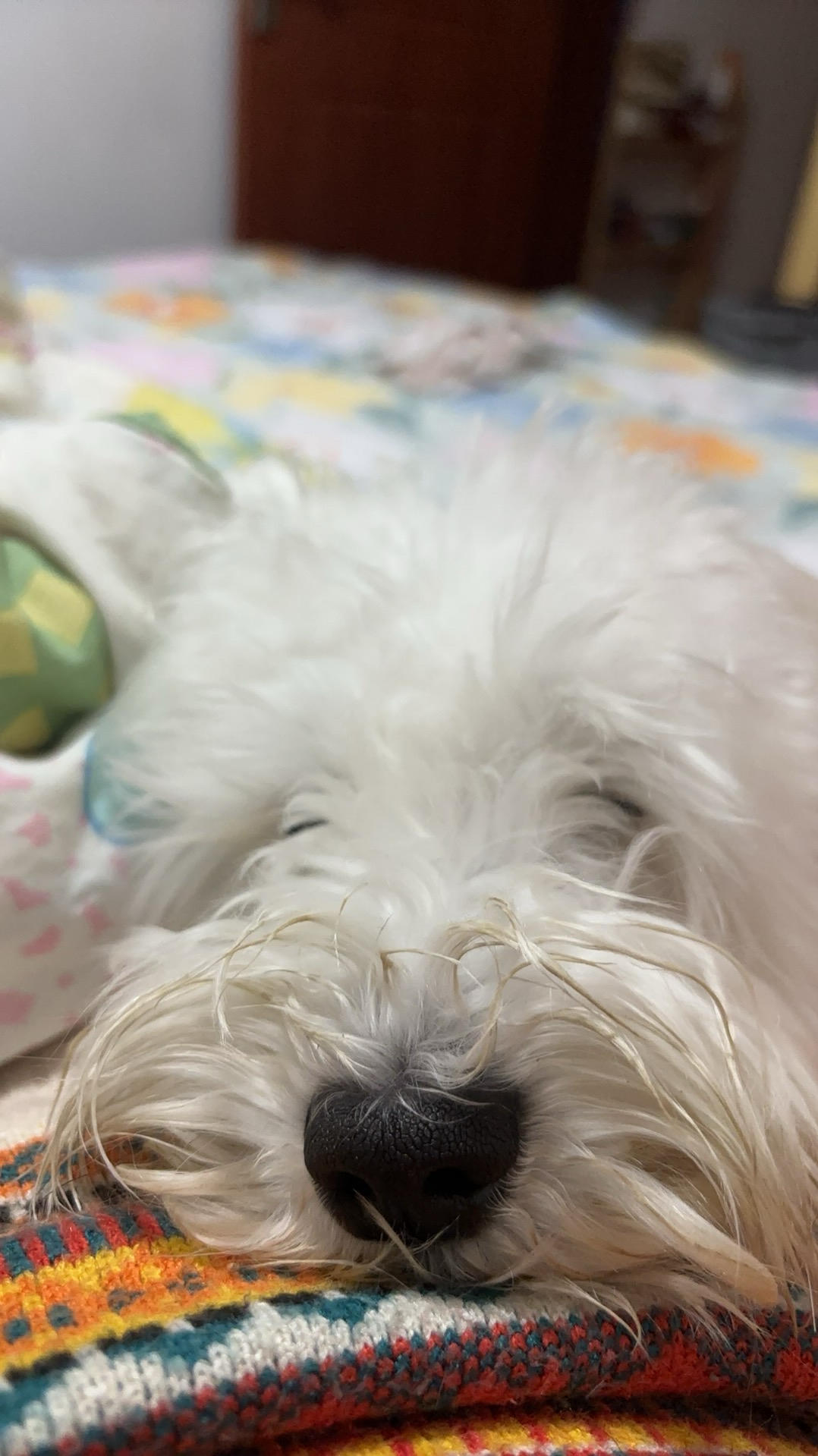 吃饭仔仔