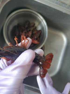 小龙虾盖饭—小朋友也可以吃哦的做法 步骤1