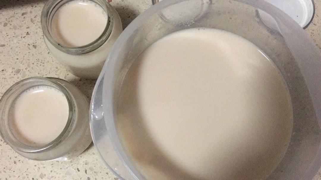 花胶奶冻（最健康的零食）