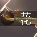 花花花11