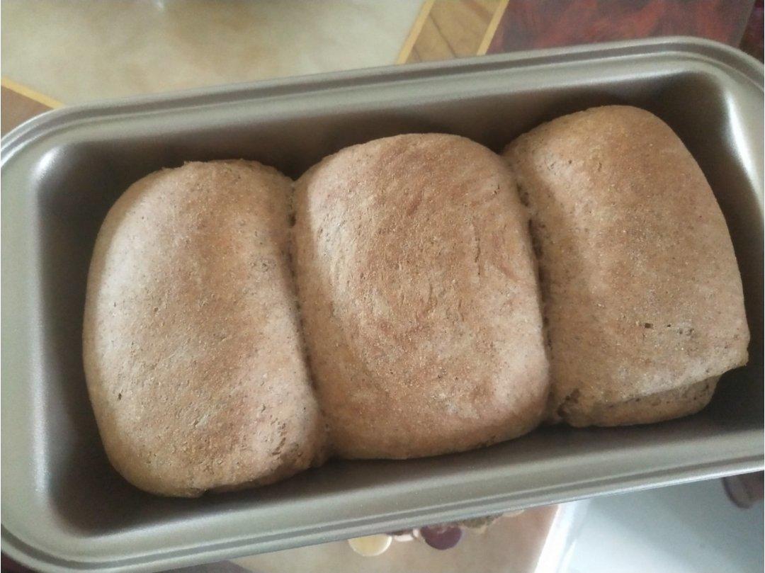 黑麦吐司 70%黑麦 波兰种