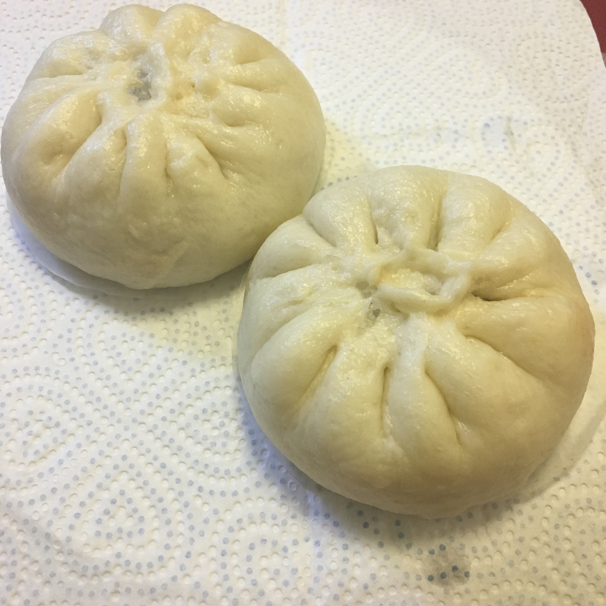 家庭手工肉馅大包子