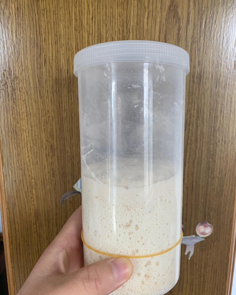 天然酵母宝宝养成记