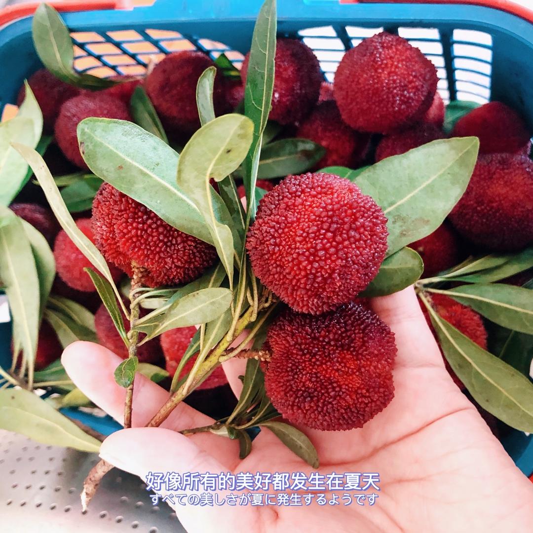 鲜榨杨梅汁—小美