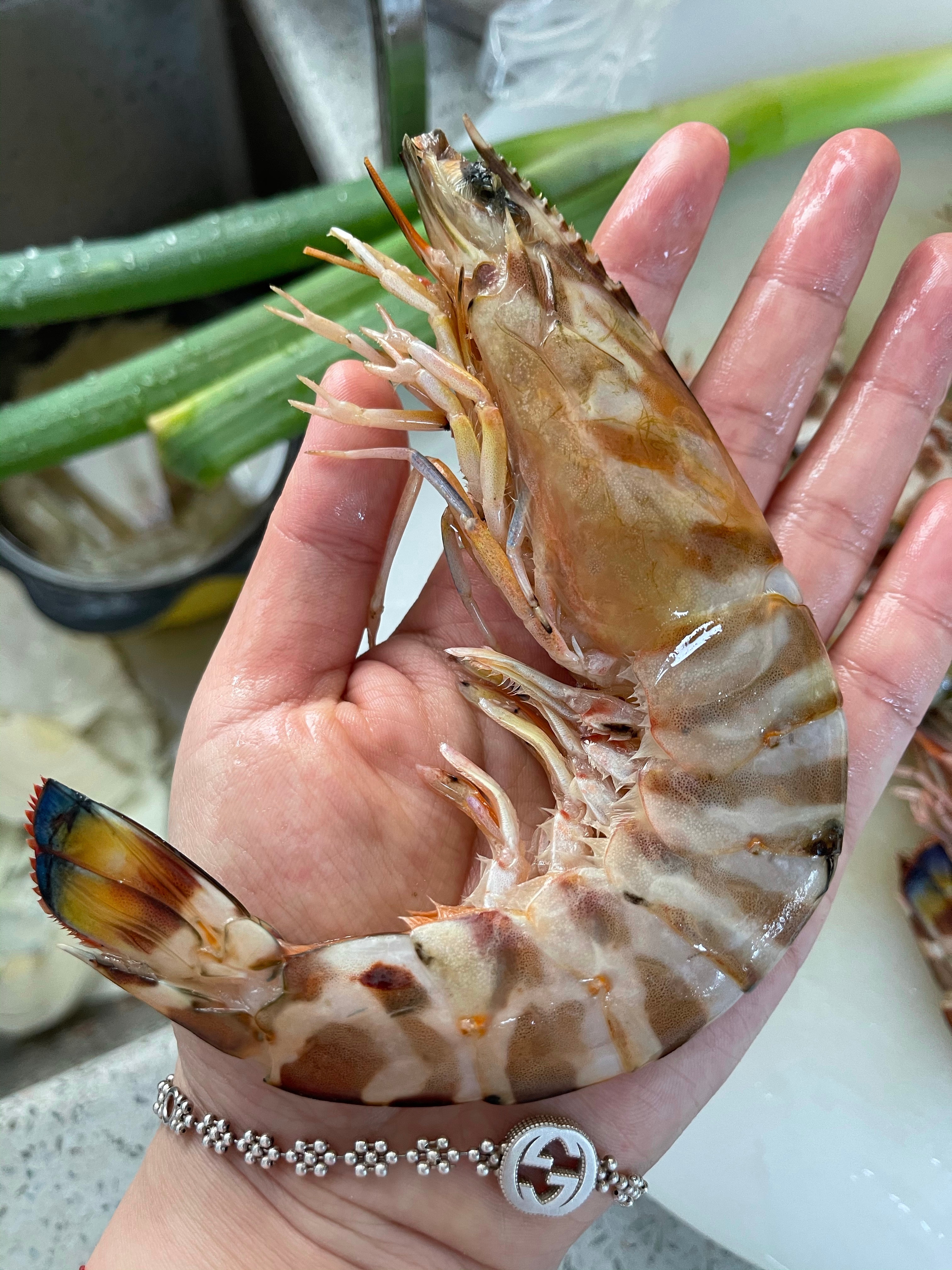 葱油东海斑节虾的做法 步骤1