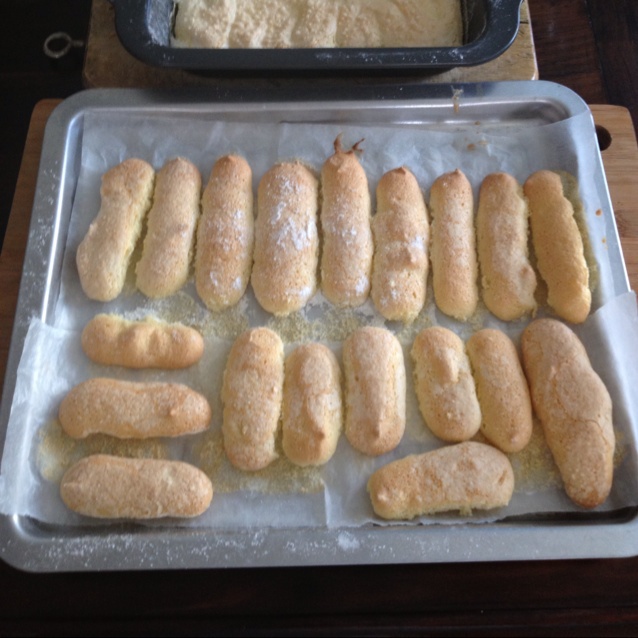 提拉米苏用手指饼