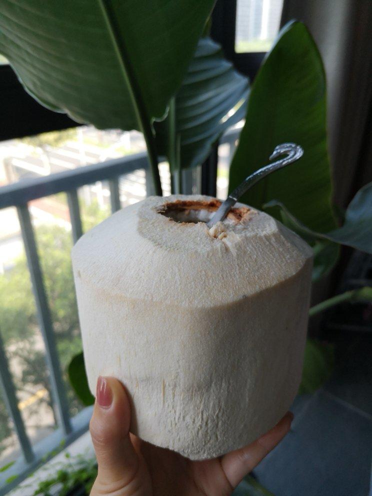 一整颗椰子冻