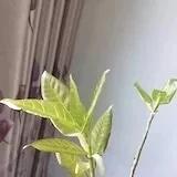 爱吃爱运动的猪妈