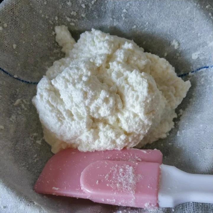 家庭自制奶油奶酪 Homemade Cream Cheese