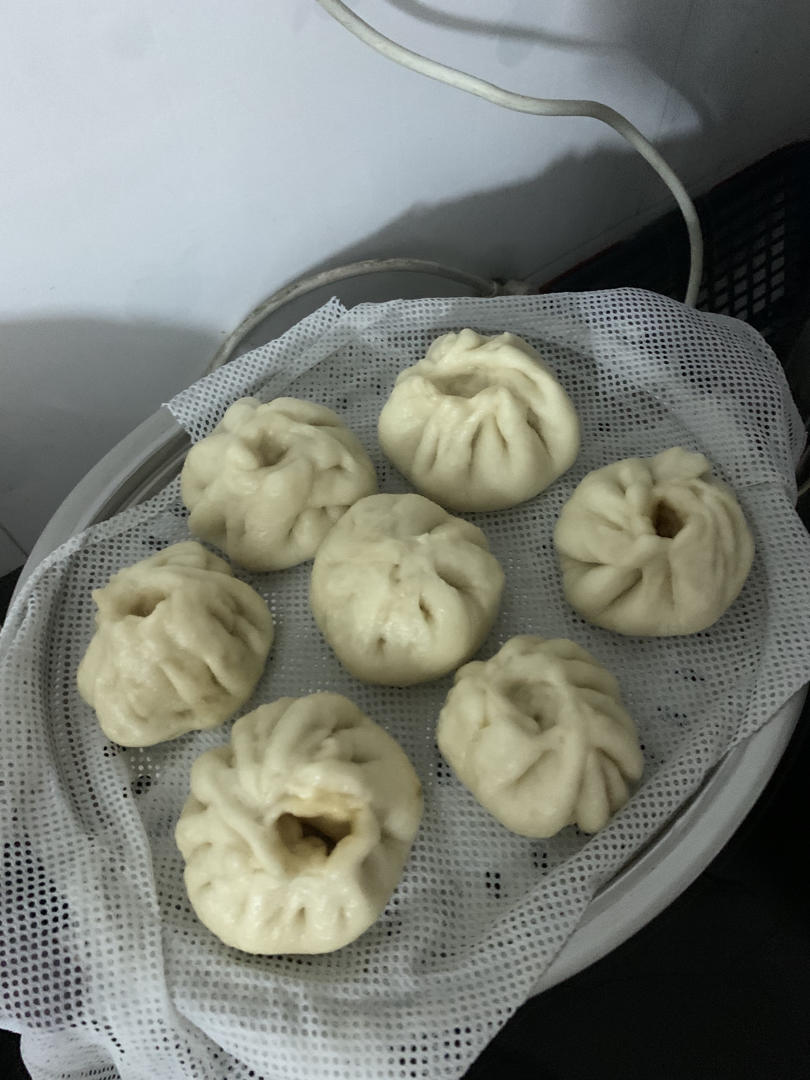 好吃多汁的肉包子肉馒头【步骤超详细】