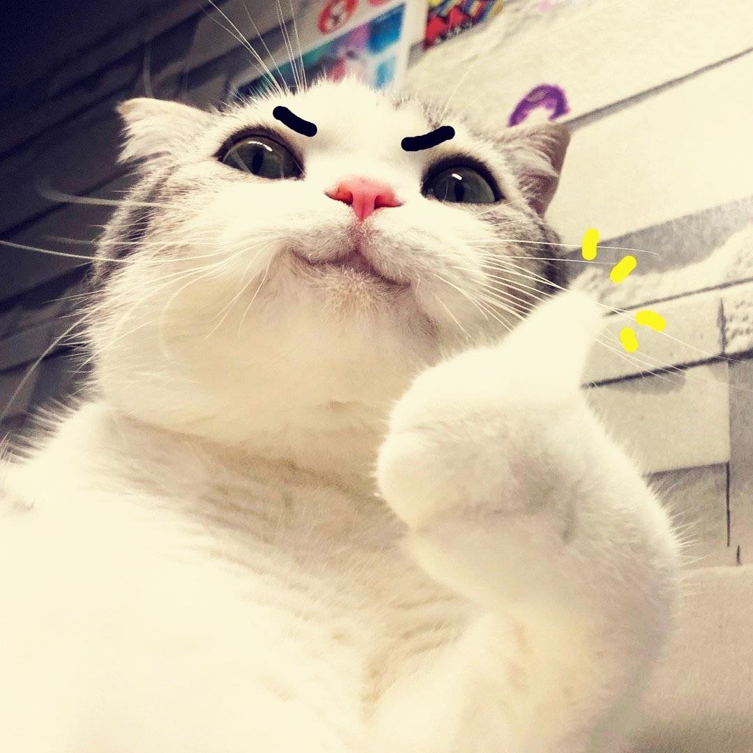 叮叮当当咚咚锵