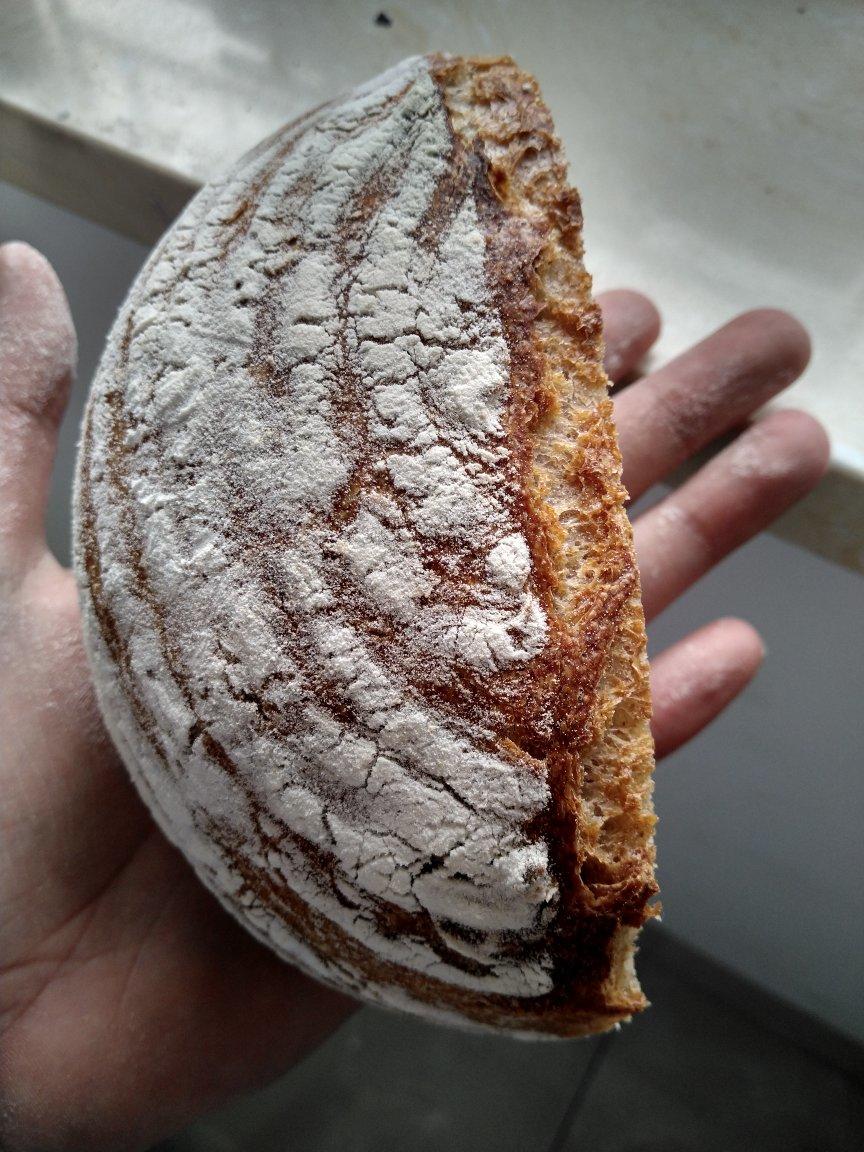 无糖无油黑麦免揉欧包sourdough bread