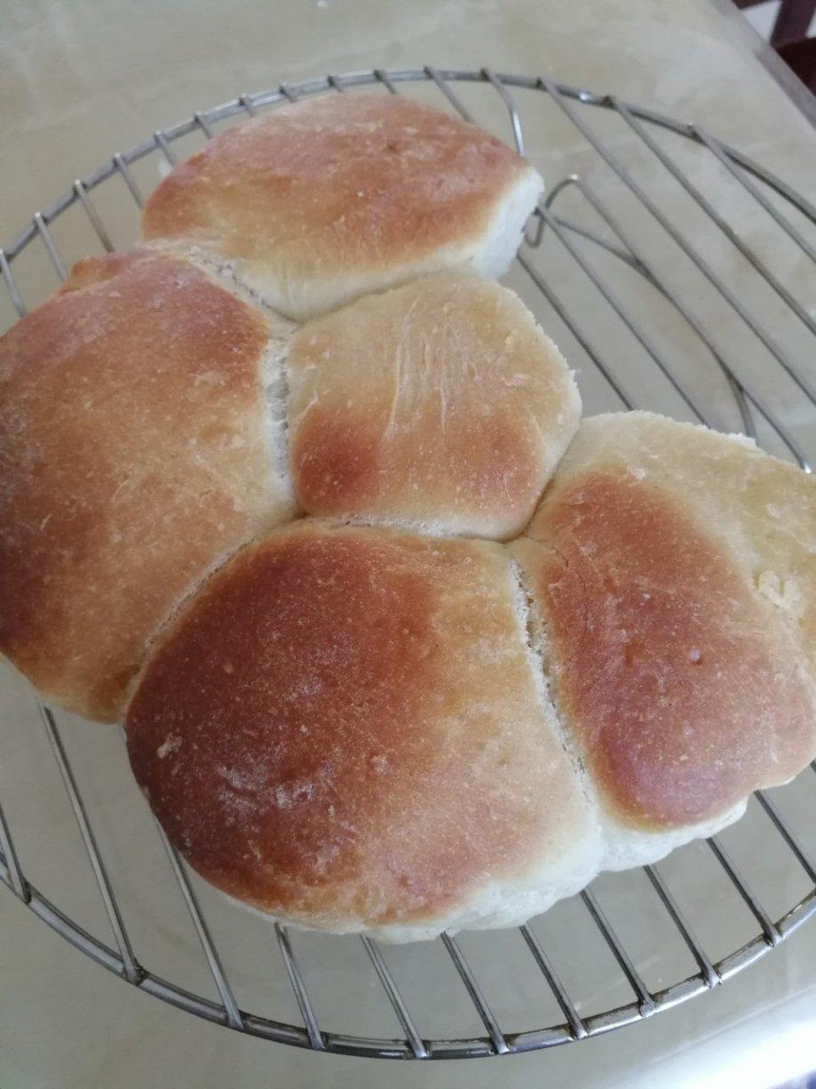 免揉全麦蜂蜜餐包•健康烘焙 一个盆搞定全过程简单易操作🍞