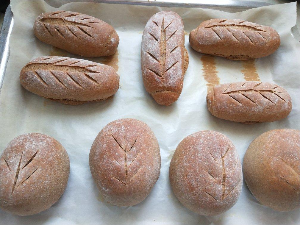 新手手揉，低卡减脂100%黑麦全麦面包