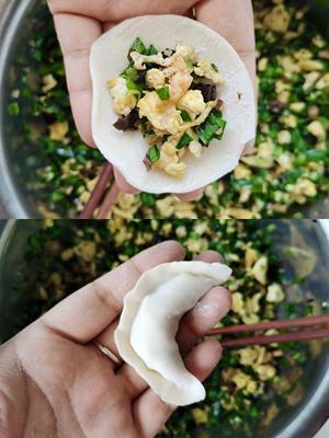 韭菜三鲜饺子的做法 步骤4