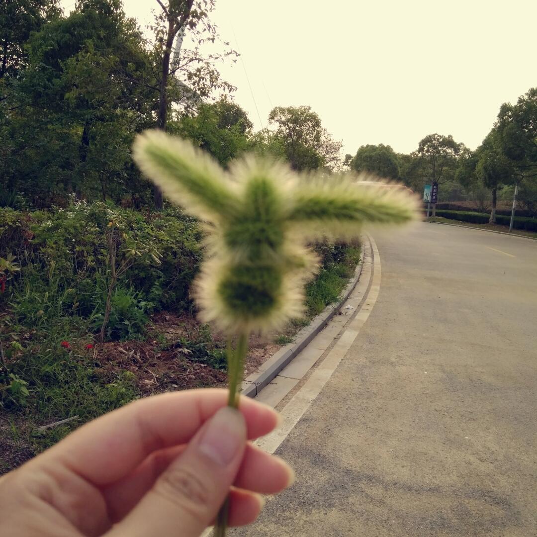 菜妈简单的厨房