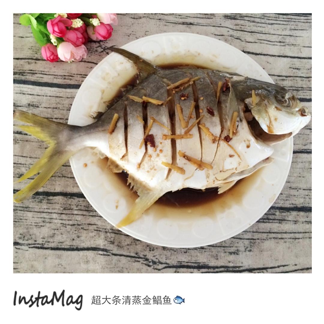 清蒸鲳鱼