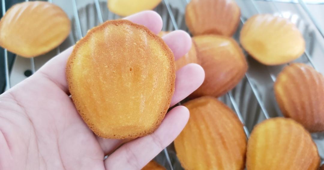 《Tinrry+》柠檬玛德琳