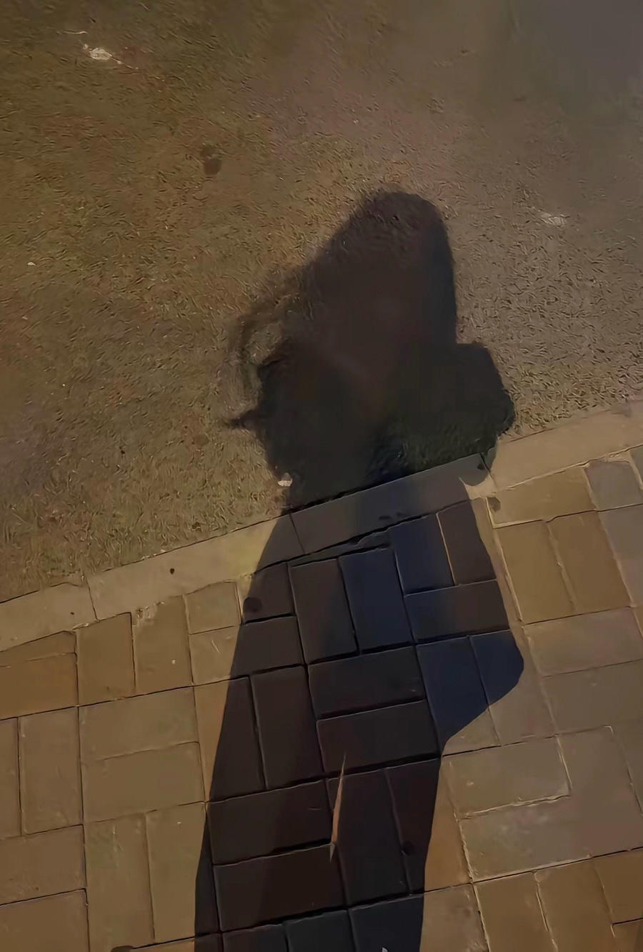 为啥非要我设置昵称