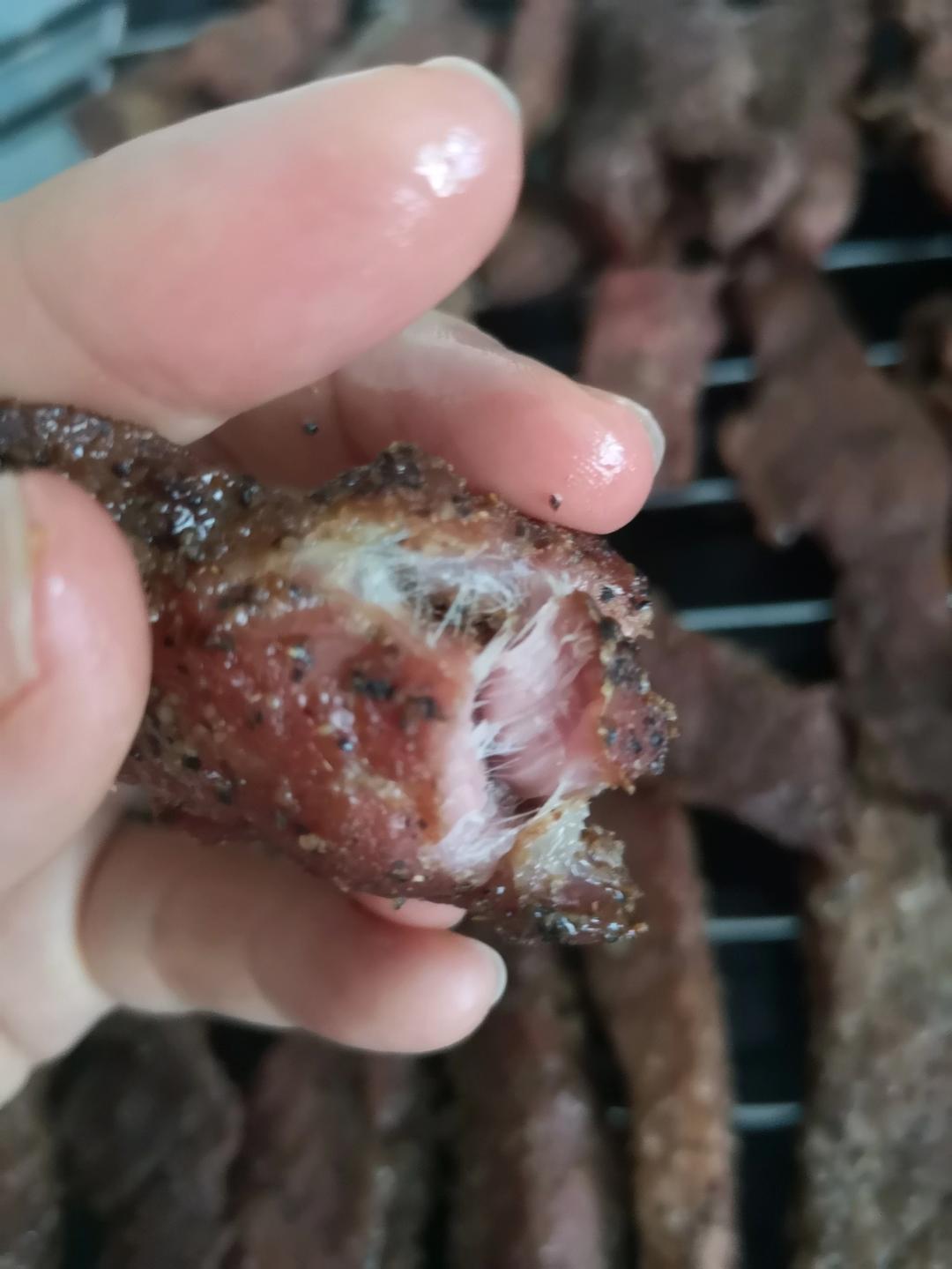 手撕风干猪肉干