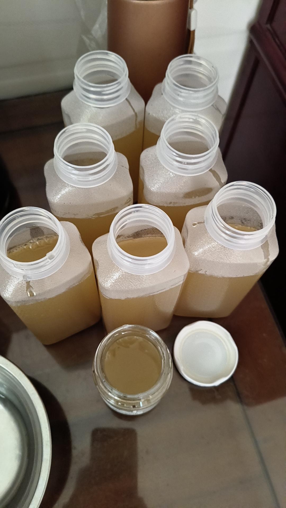 海底椰菊花雪梨膏(清热解毒)