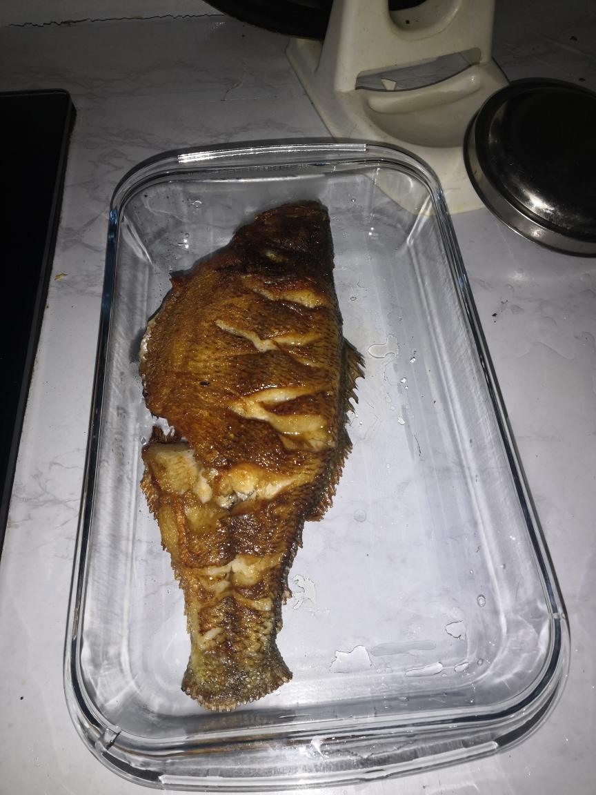 超快手超下饭的干烧鲈鱼 学不会你打我