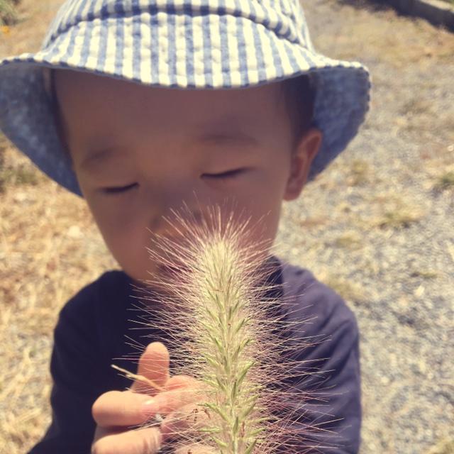 Iqq麻麻