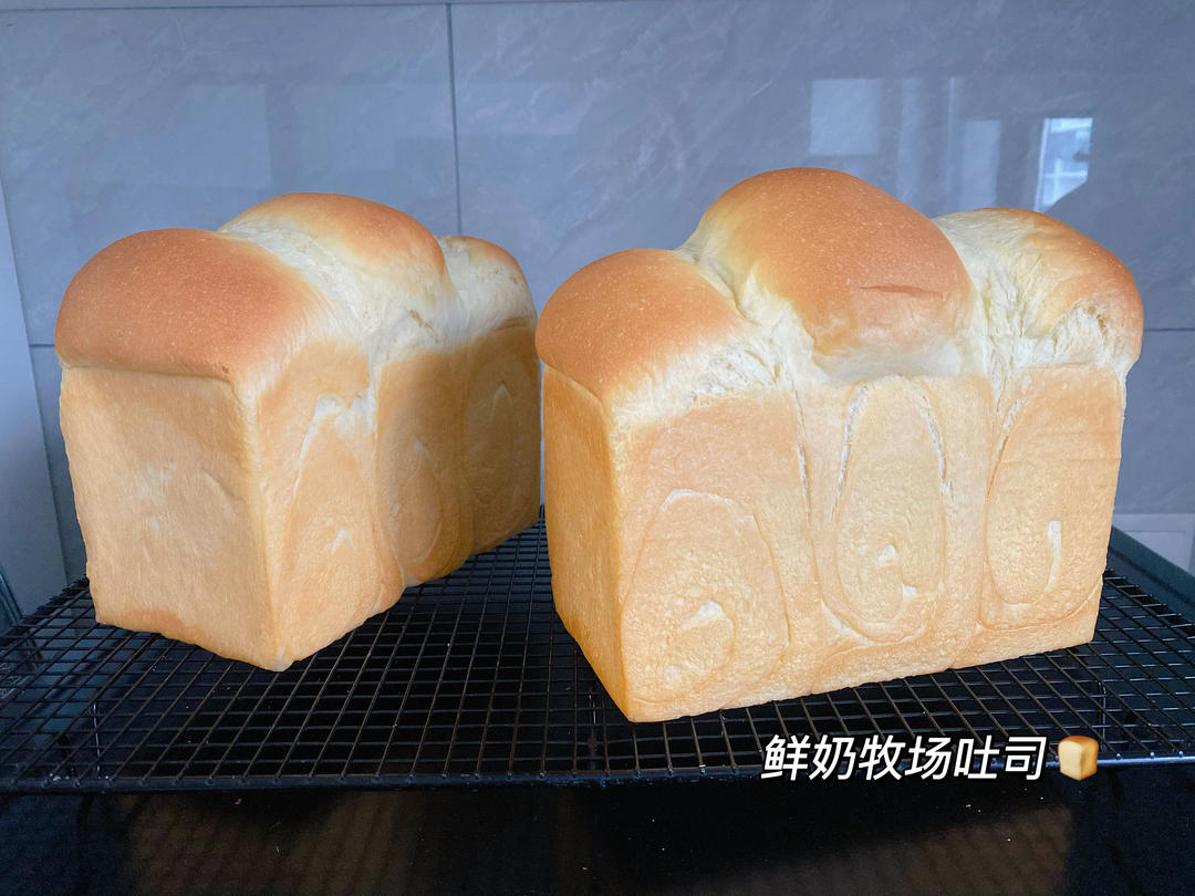 不加一滴水的超绵软牧场鲜奶吐司—直接法，吴克己
