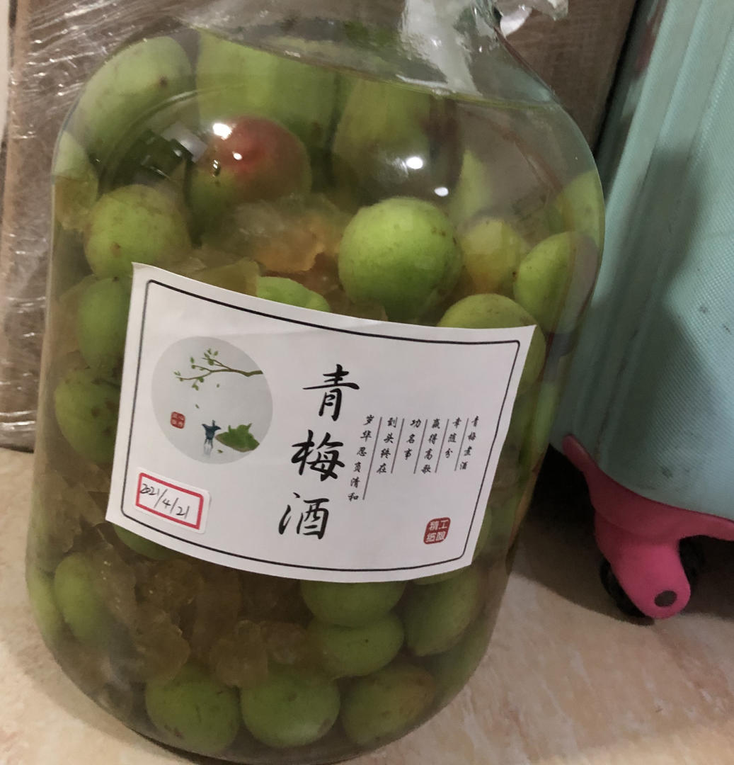 自酿超好喝的青梅酒/梅子酒