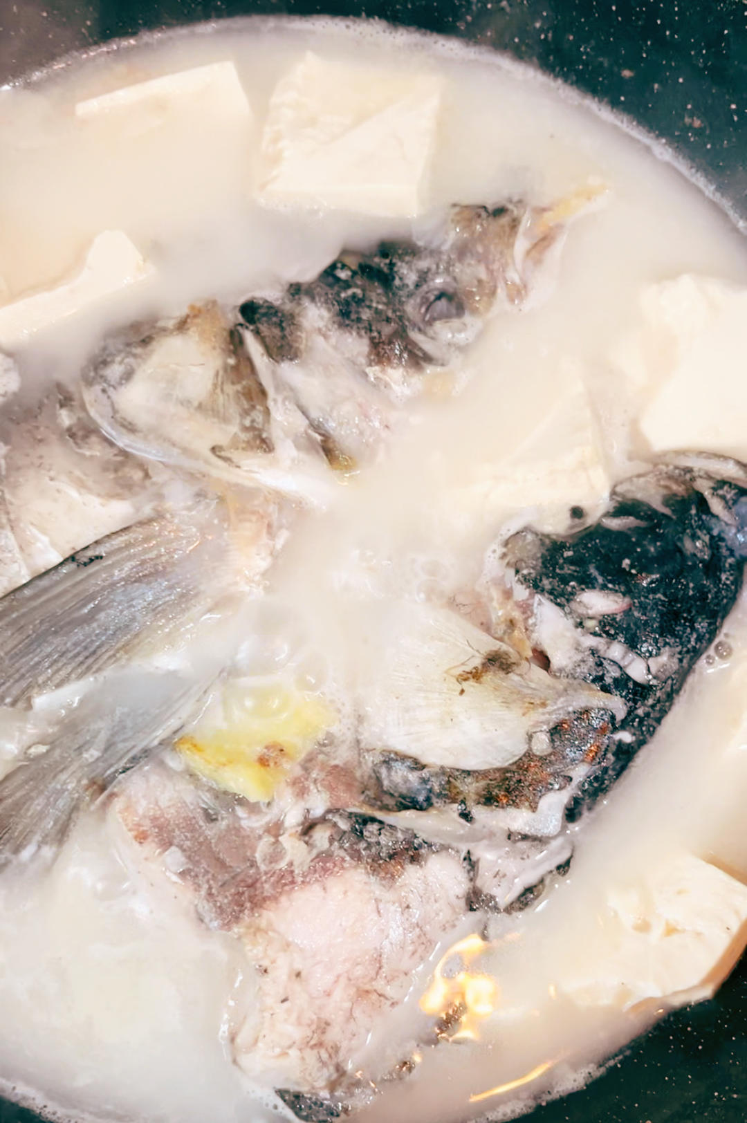 鱼头豆腐汤