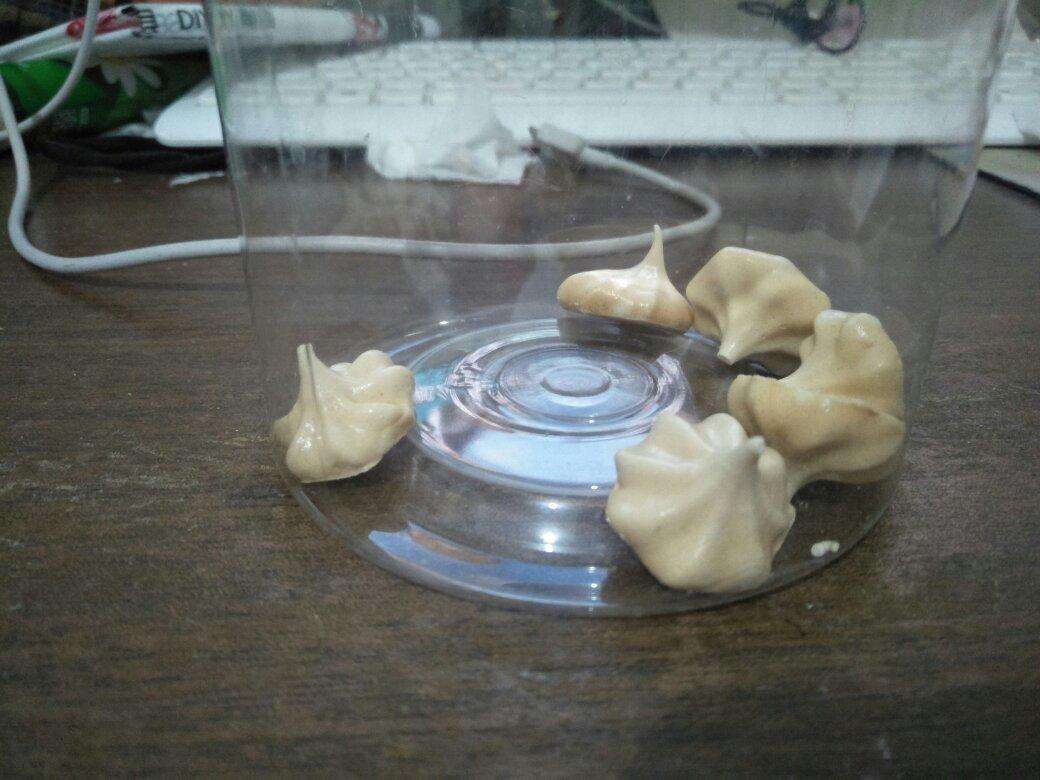 不熬糖版蛋白糖