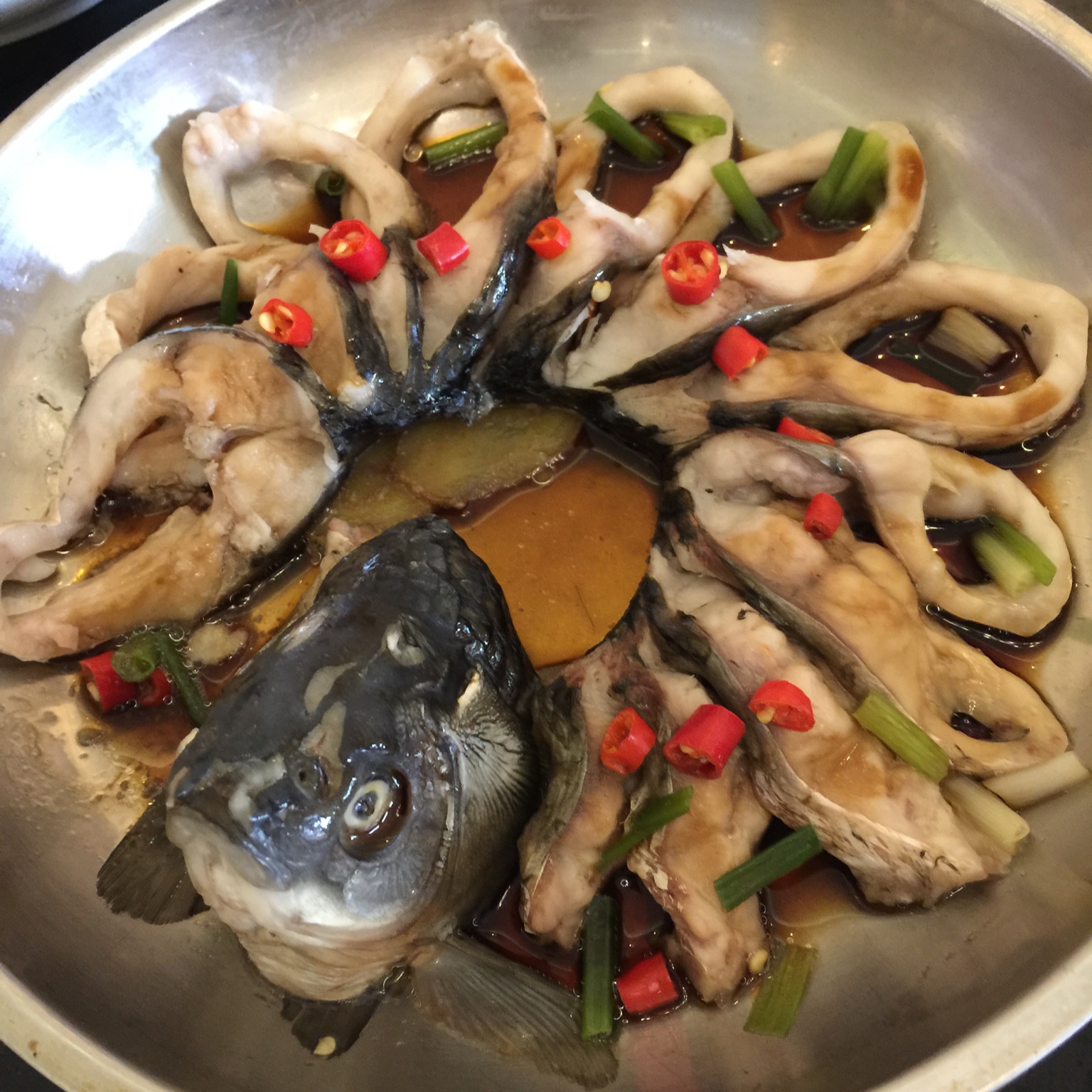 孔雀开屏鱼.