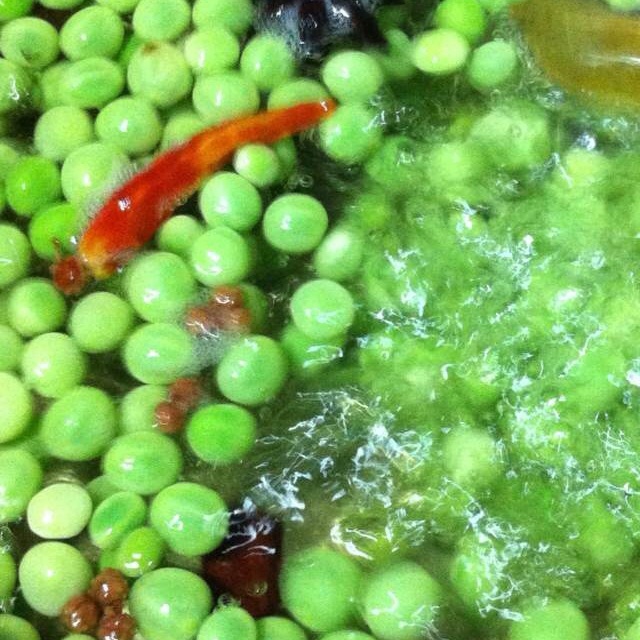 盐水煮毛豆