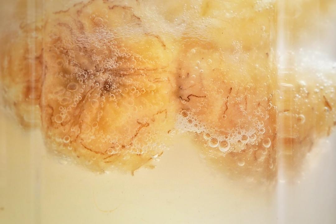 野生酵母之香蕉酵母