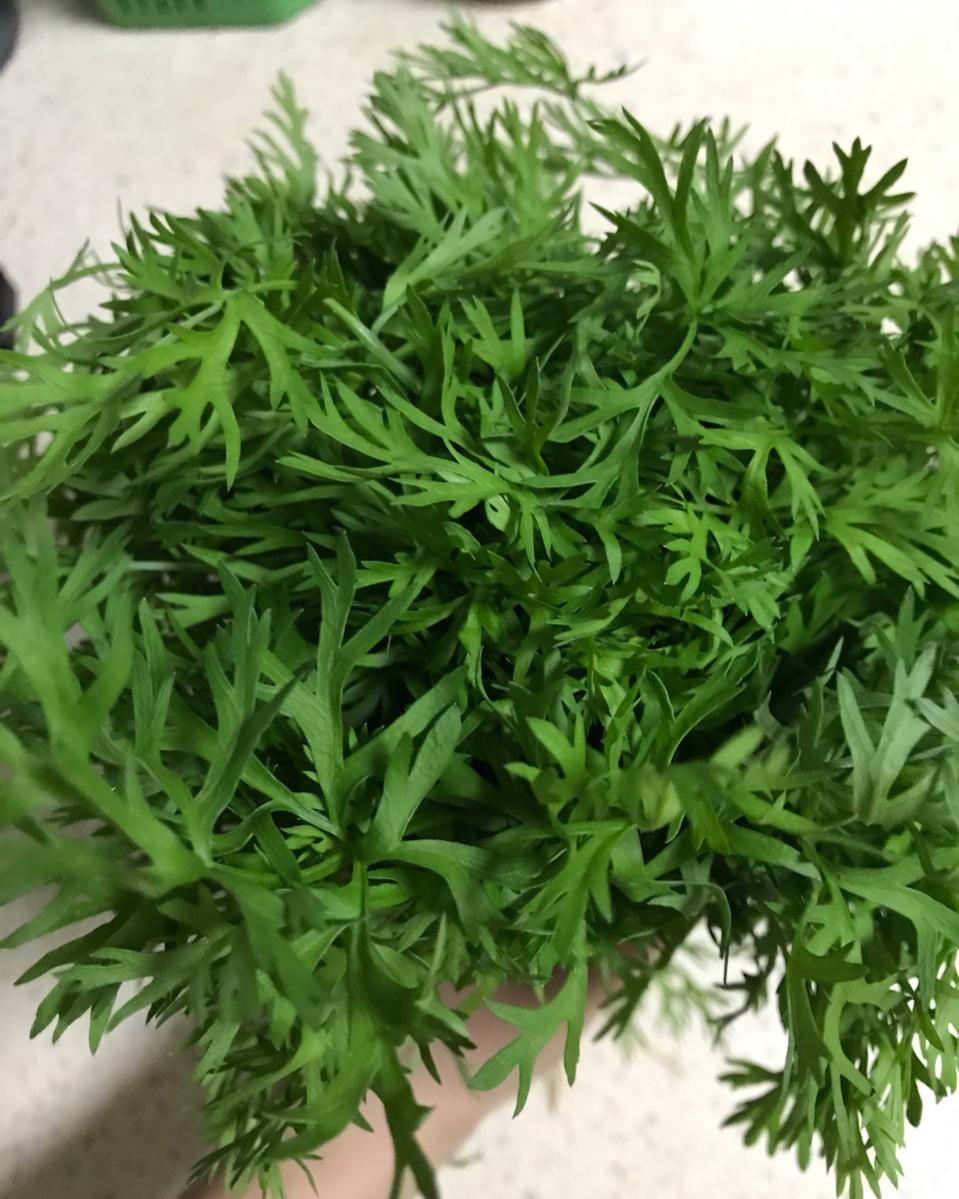 菠菜南瓜奶酪丹波面包丨健康·烘焙