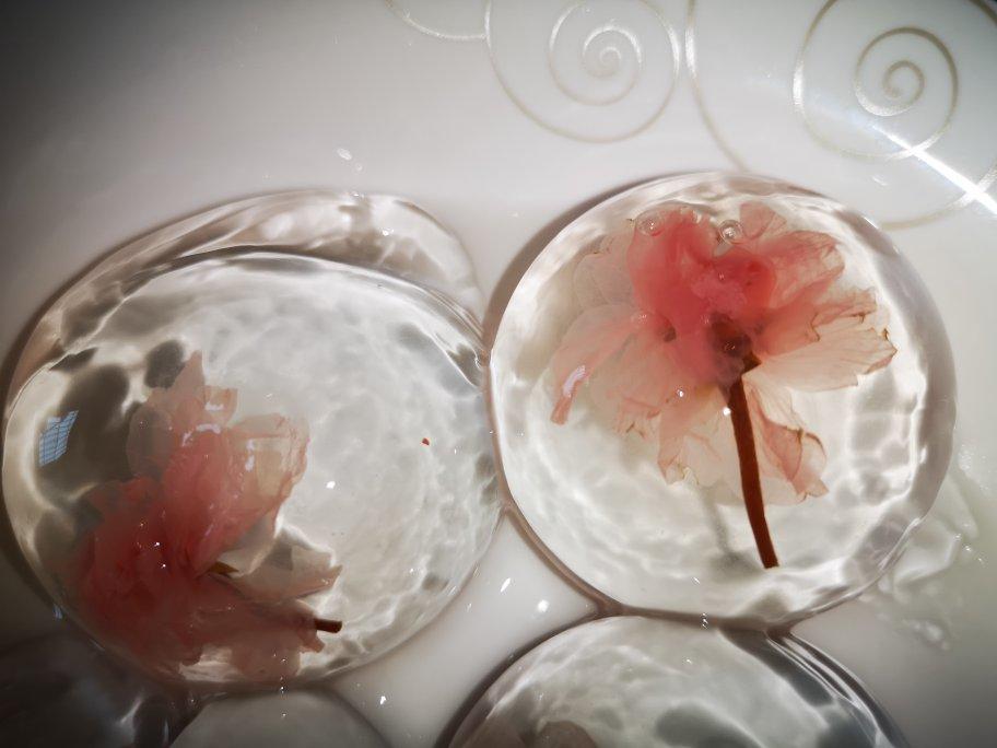 日本最温柔的梦幻和菓子 — 水信玄饼