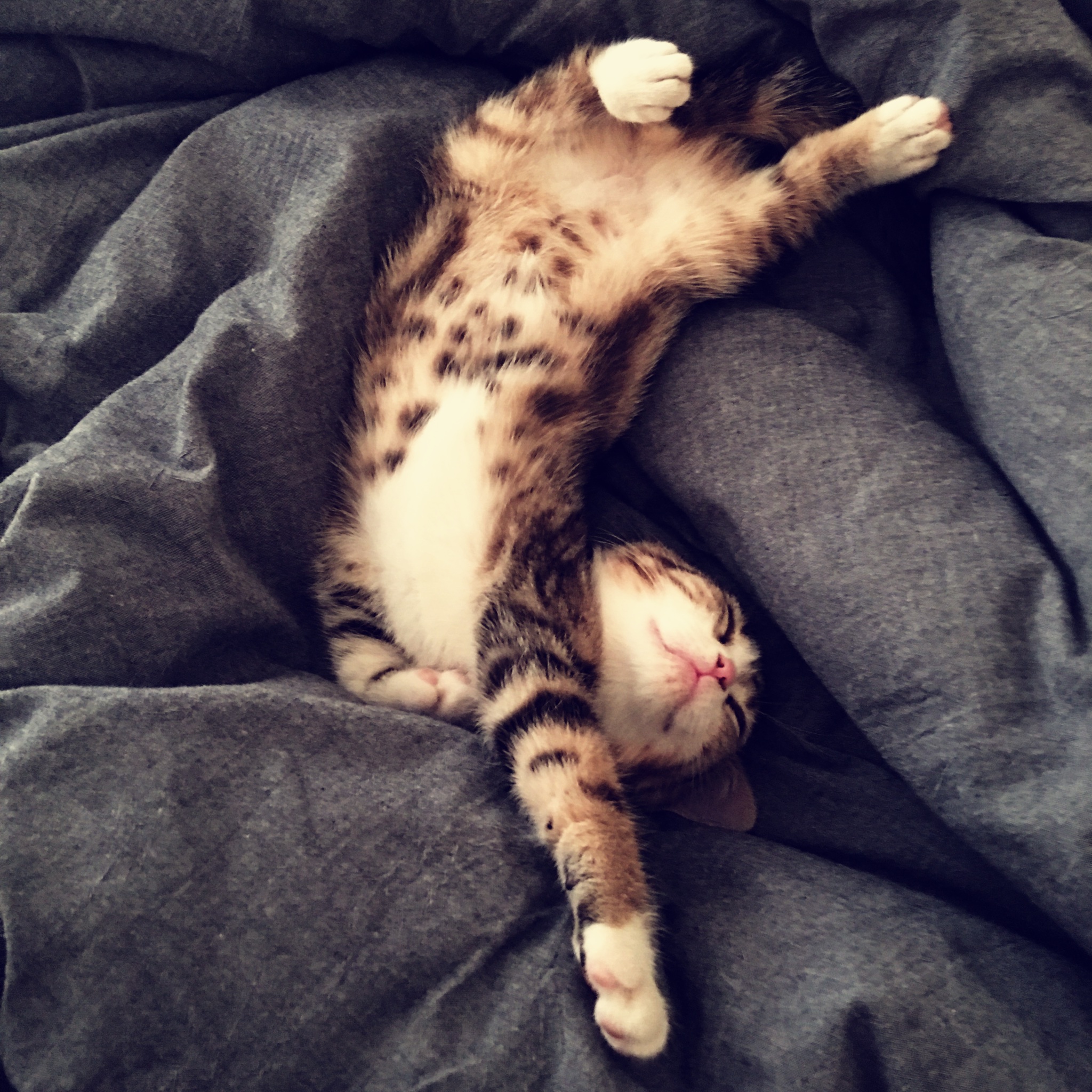 被戚风气疯的女子