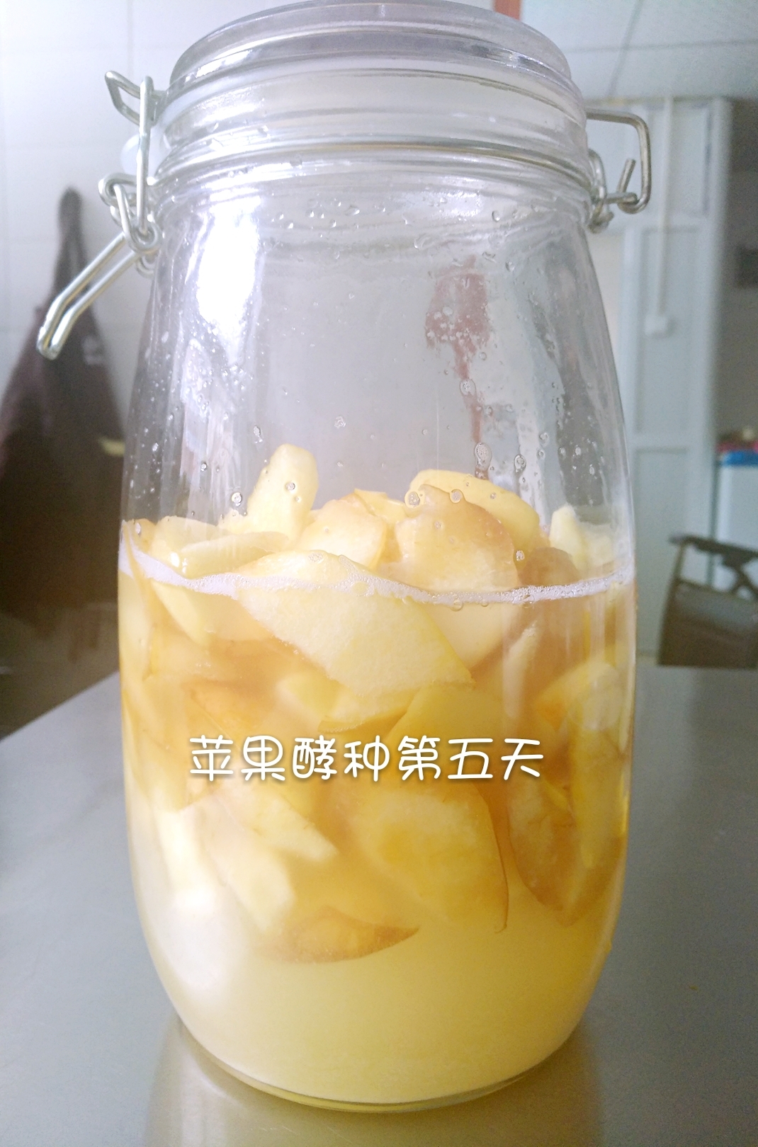 苹果酵种的做法 步骤5
