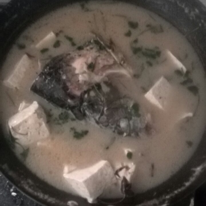 铁锅鱼头炖豆腐