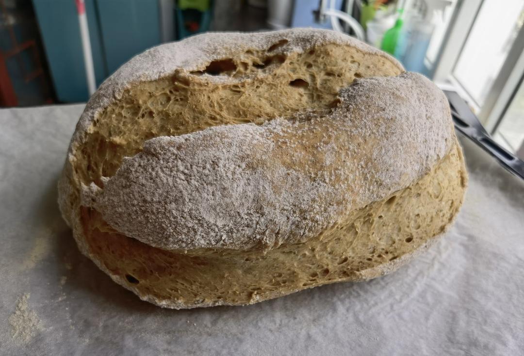 波兰种全麦面包🍞