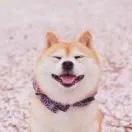 阿小娉