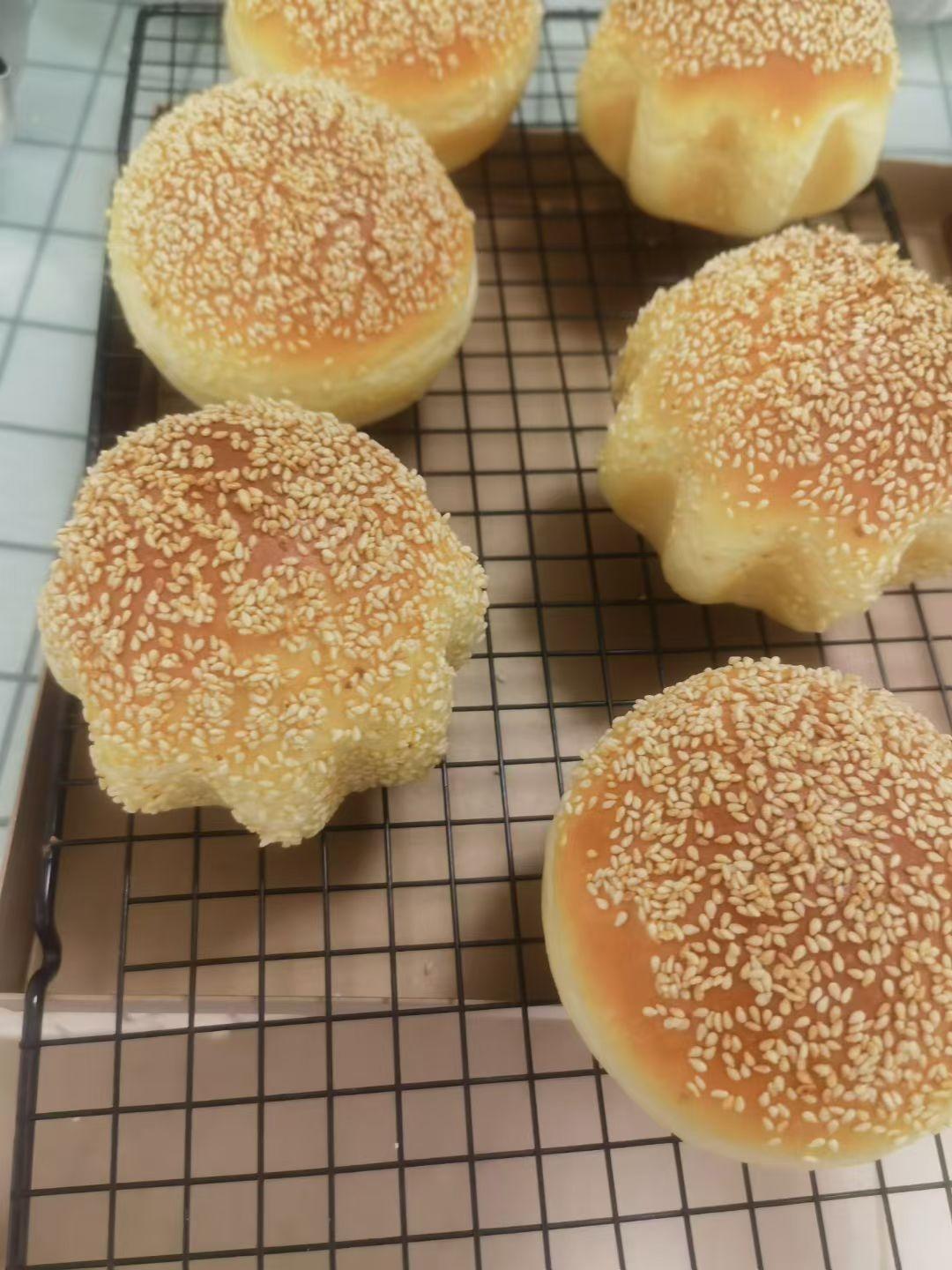 汉堡面包/面坯（波兰种）