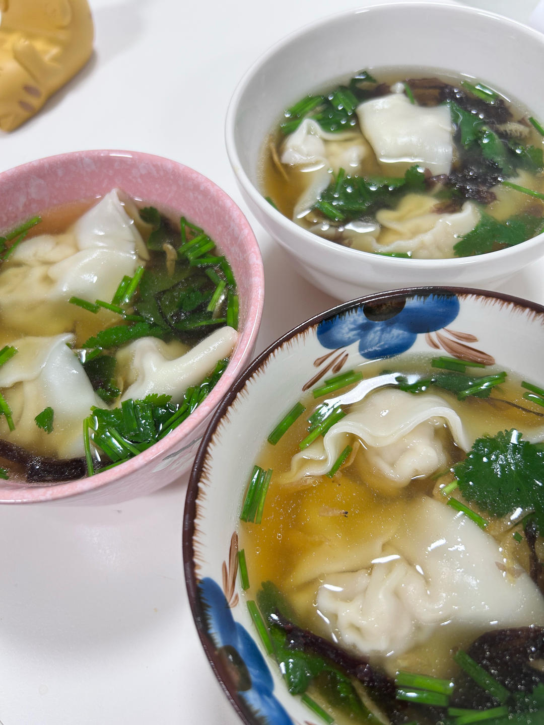 鲜肉馄饨 馄饨皮 馄饨汤底（附6种包法）