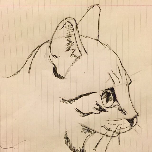 猪骨麦