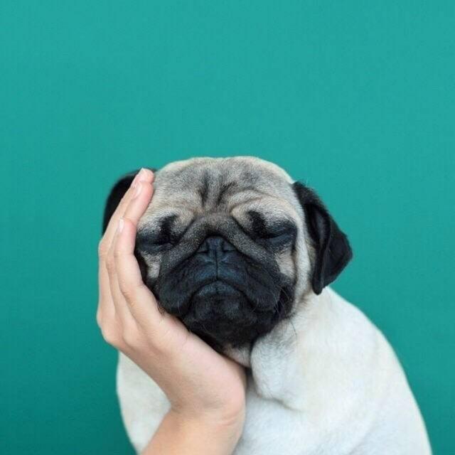 蛐小蛐_