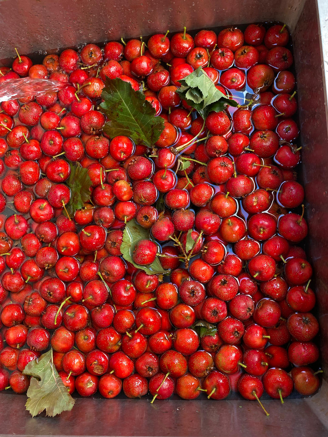 山楂棒棒糖（0添加）