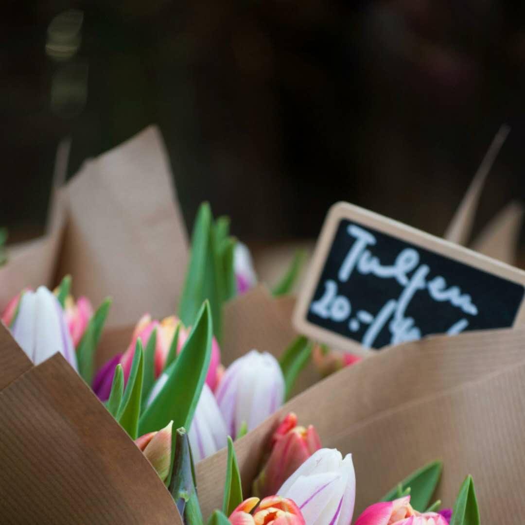 手机用户6581_iv0t