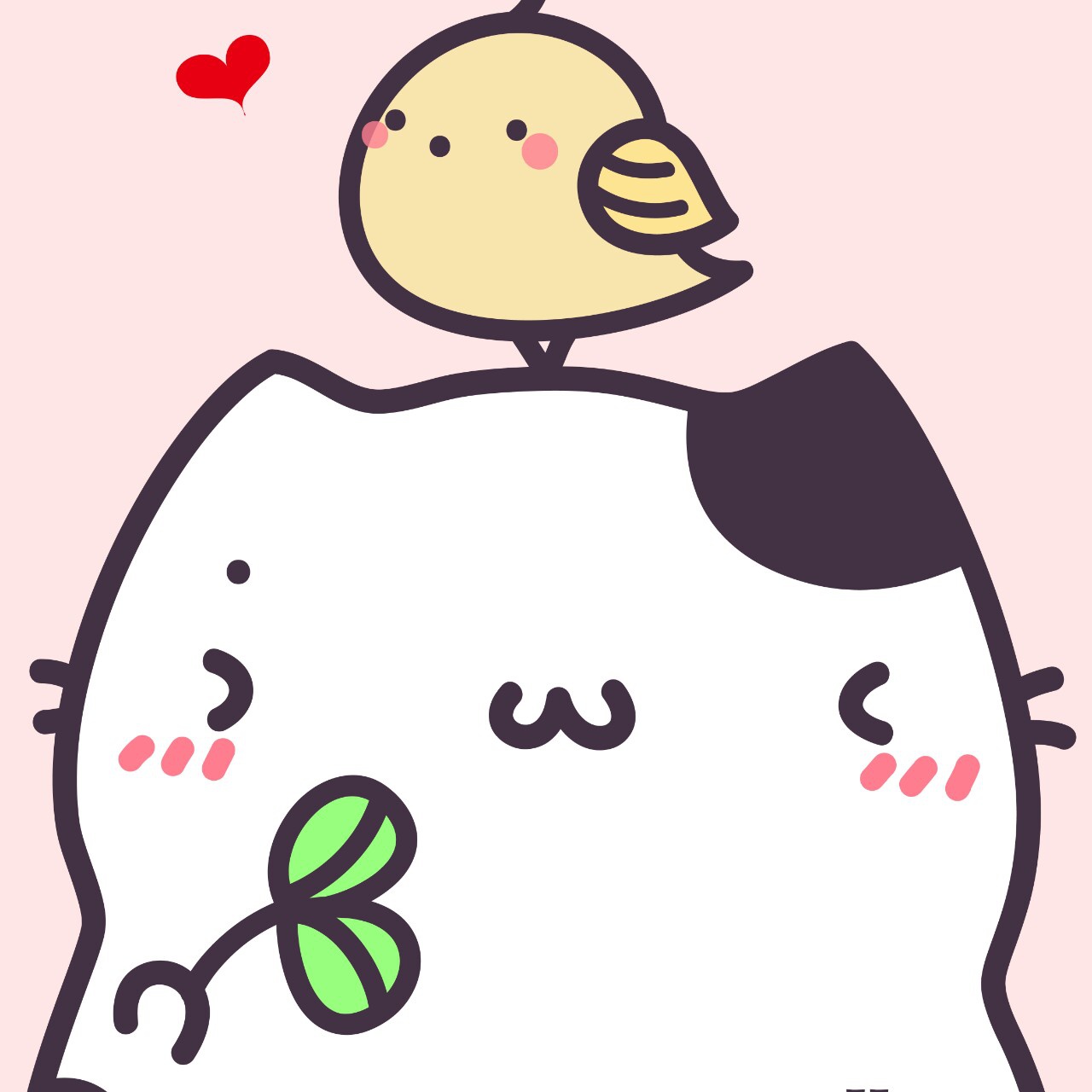 小KK努力做个好厨娘