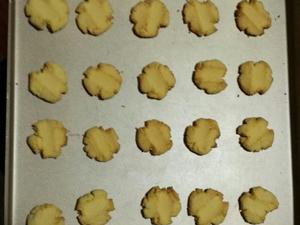 SCD椰子奶酥饼干的做法 步骤4