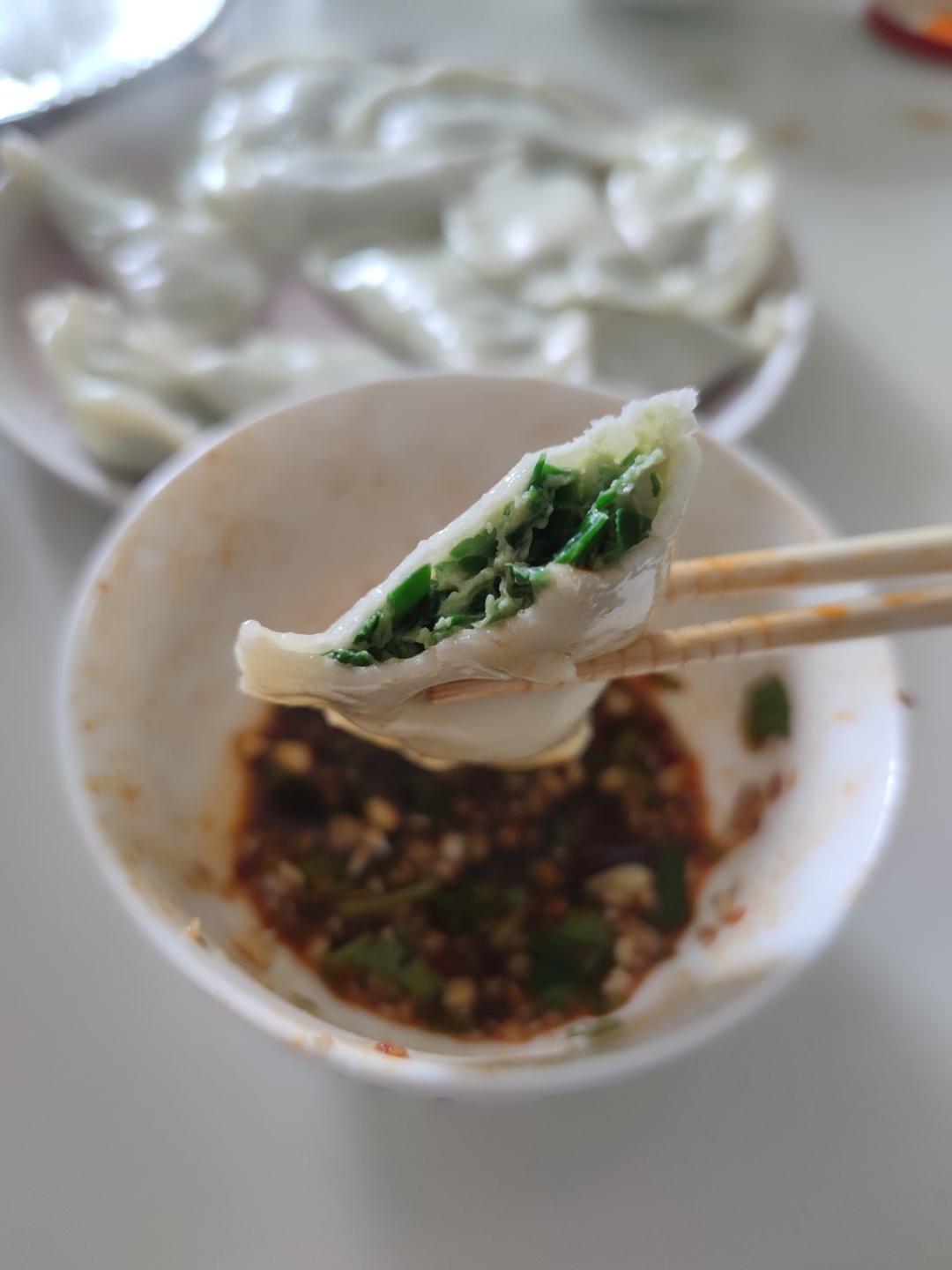 韭菜猪肉馅饺子